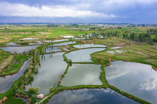 铧尖湿地