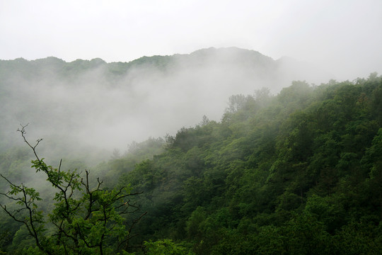 山中晨雾