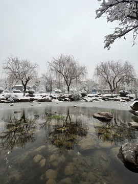 公园雪景