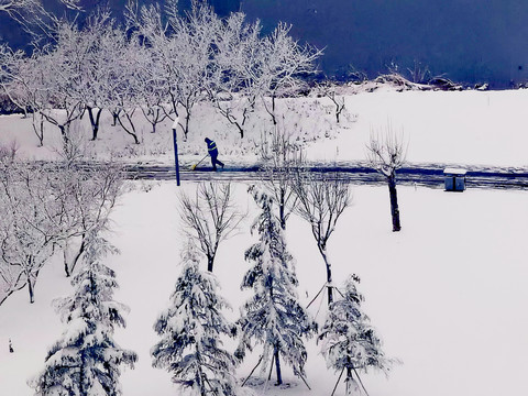 森林雪景