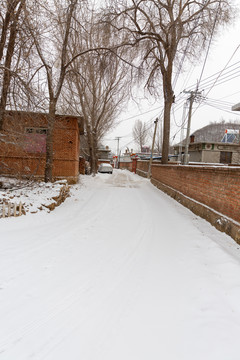 东北雪后门前的小路