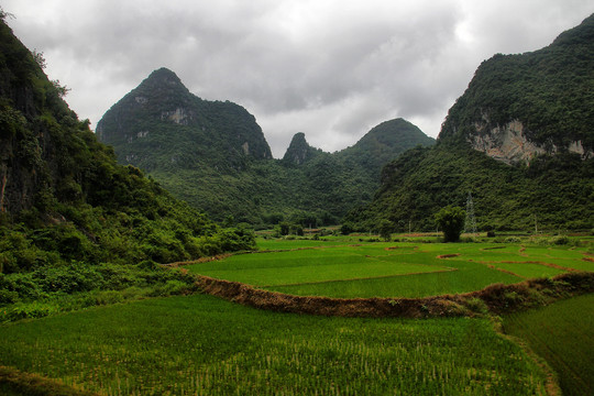 峰林地貌