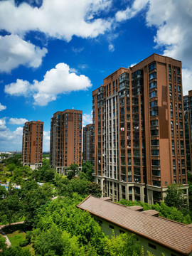 小区绿化