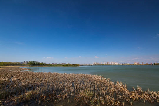 大庆滨州湖