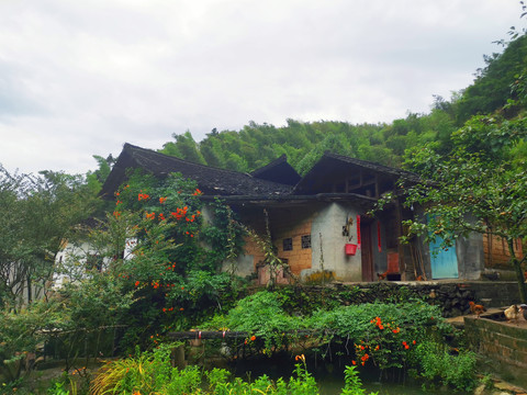 乡村风景老屋