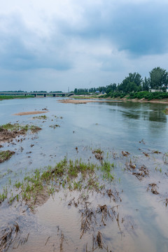 白洋淀生态补水渠道唐河