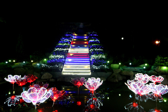 马可波罗花世界夜景