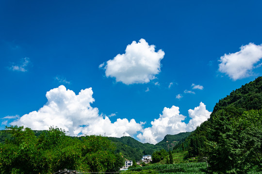 绿色山村