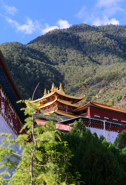 香格里拉东竹林寺