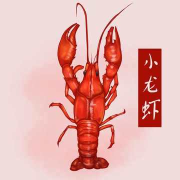 小龙虾食物海鲜水彩风食材包装