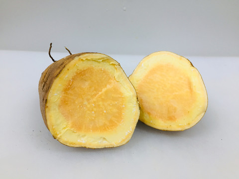 黄金蜜薯