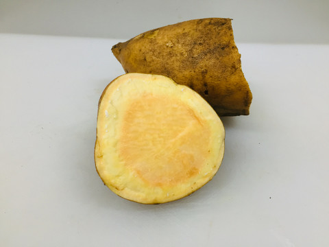 黄金蜜薯