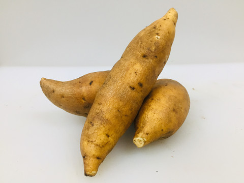 黄金蜜薯