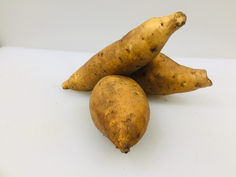 黄金蜜薯