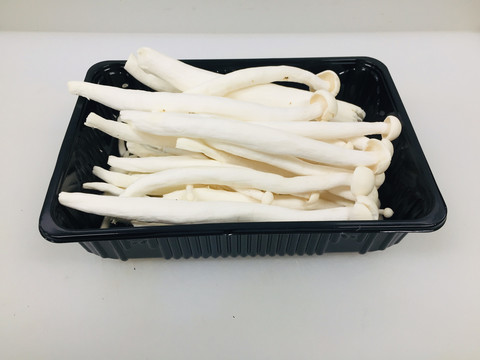 海鲜菇