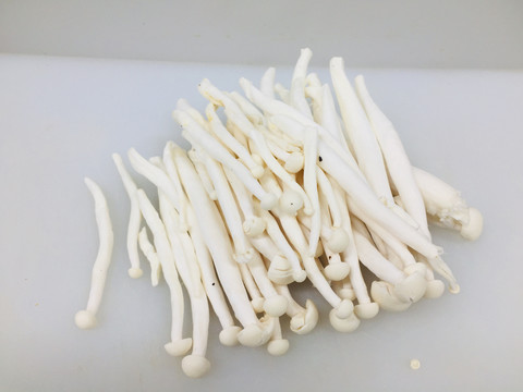 海鲜菇