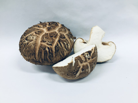 香菇