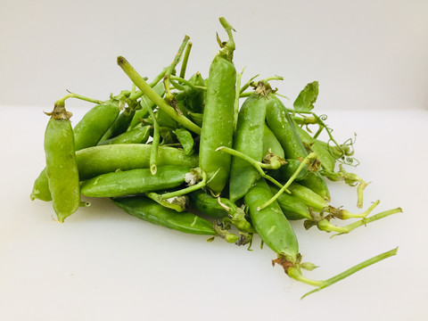 豌豆