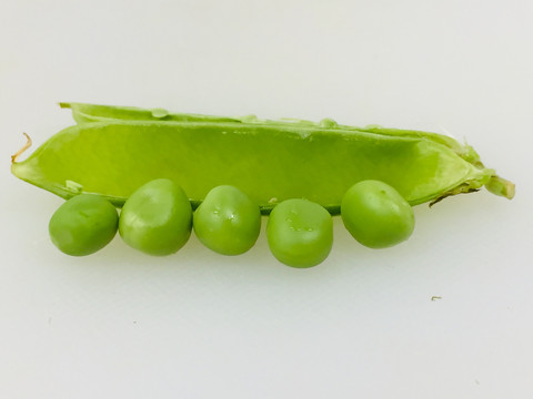 豌豆