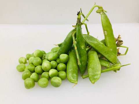 豌豆