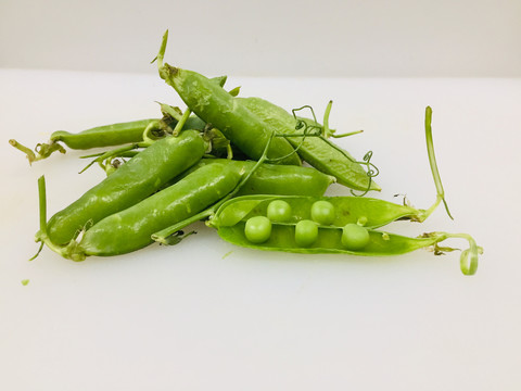 豌豆