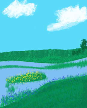 湿地风景
