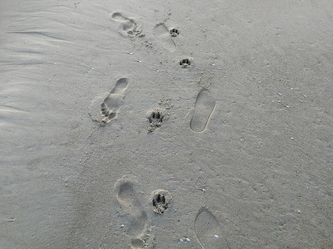 海陵岛沙滩足迹