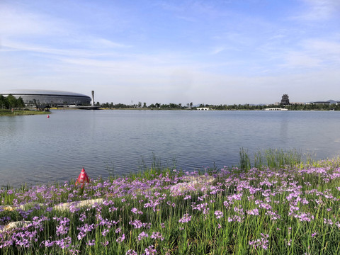 成都东安湖体育公园湖边景色
