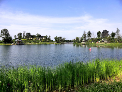 成都东安湖公园风景