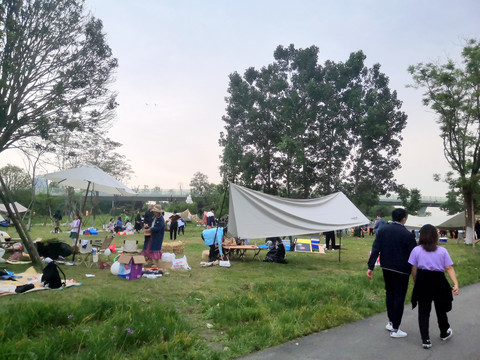 成都城市公园草地露营帐篷