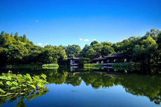 西湖风景