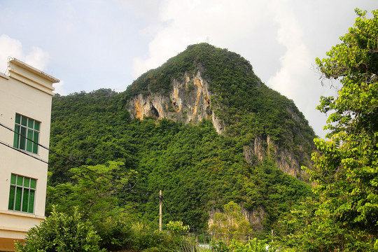 骨屯村