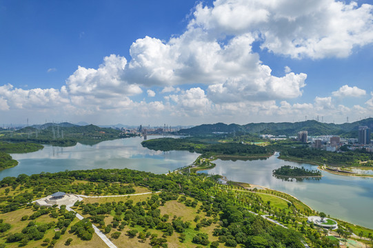 深圳宝安区石岩湖湿地公园