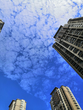 仰视天空