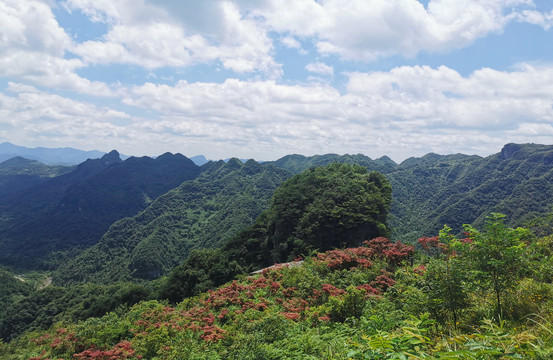 风景