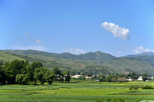 乡村风光