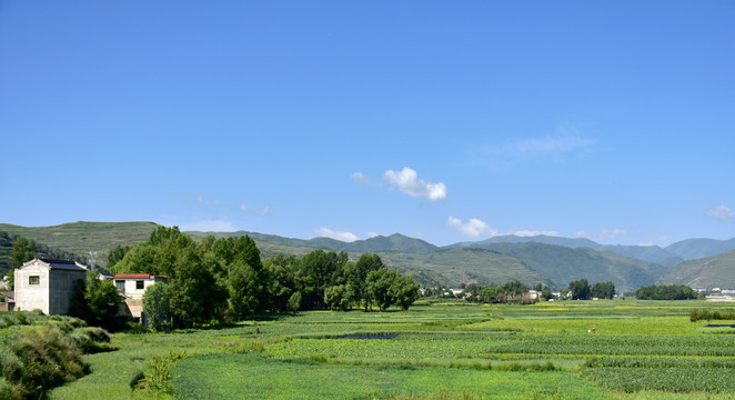 乡村风光