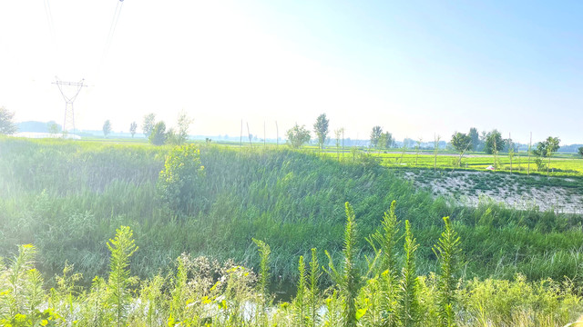 河边湿地公园