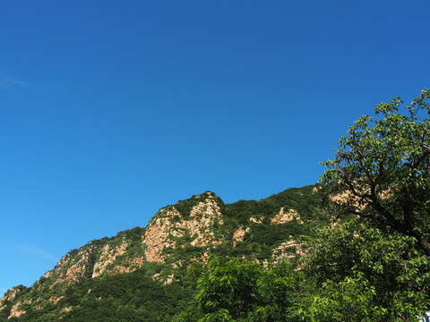 大山青山