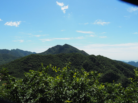 大山青山