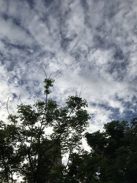 云层
