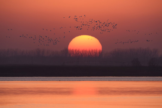 夕照黄河