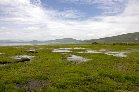 甘南尕海湿地
