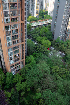 重庆城市绿地