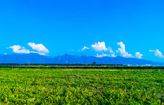 秦岭山下的西瓜地