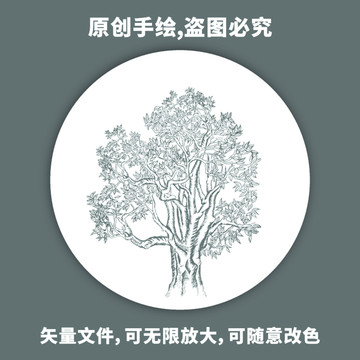 手绘古茶树