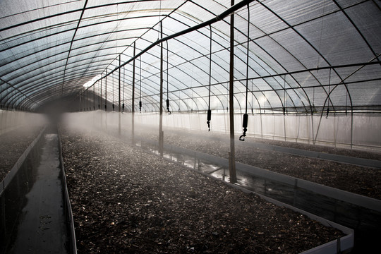 农业大棚种植喷淋系统