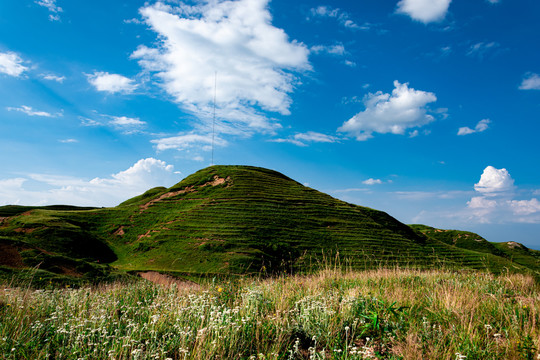 大山