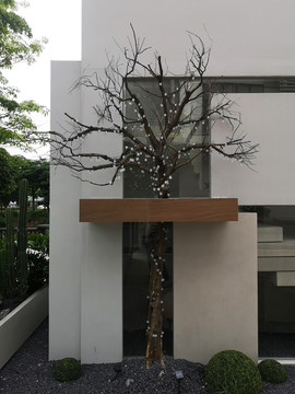 小枯树