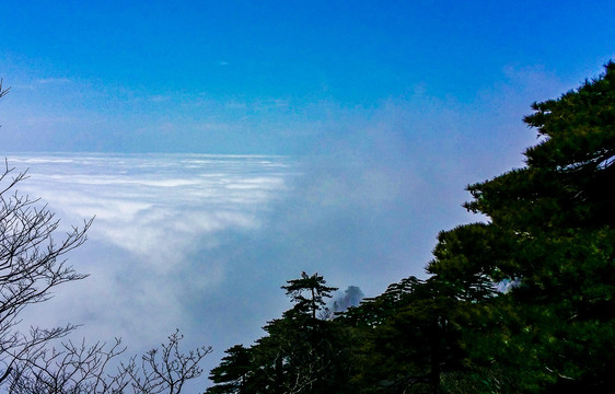 黄山云海